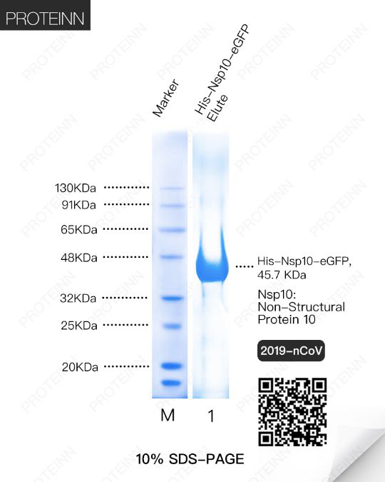 新建 DOCX 文档7905.png