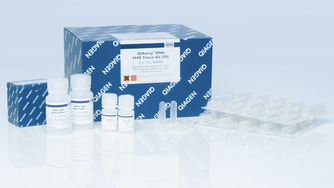 Qiagen 石蜡包埋组织基因组DNA提取试剂盒  QIAamp DNA FFPE Tissue Kit (50)