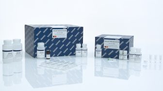 Qiagen 基因组DNA小提试剂盒 QIAamp DNA Mini Kit