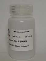 Western Blot信号增强剂