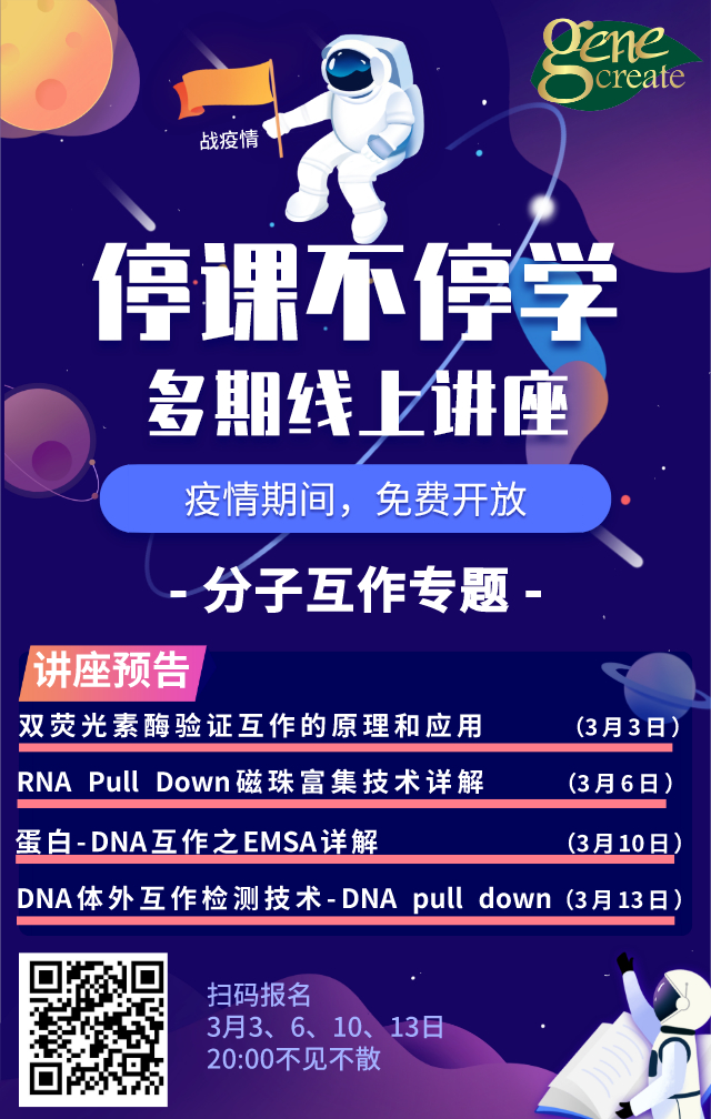 停课不停学---分子互作专题