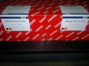 Qiagen 去内毒素质粒大提试剂盒 EndoFree Plasmid Maxi Kit 