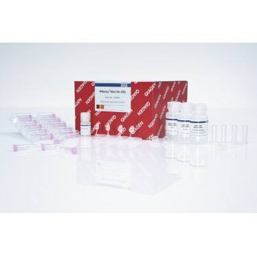 Qiagen 细胞组织RNA提取试剂盒RNeasy Mini Kit 