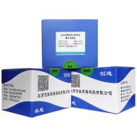 BCA法微量蛋白质浓度测定试剂盒北京供应商