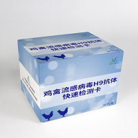 鸡禽流感H9亚型抗原检测卡