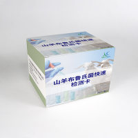 牛羊布病抗体检测卡