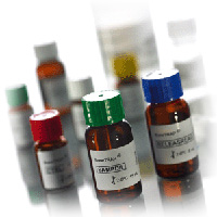 艾狄斯®抗酒石酸酸性磷酸酶5b检测试剂盒（酶联免疫法）