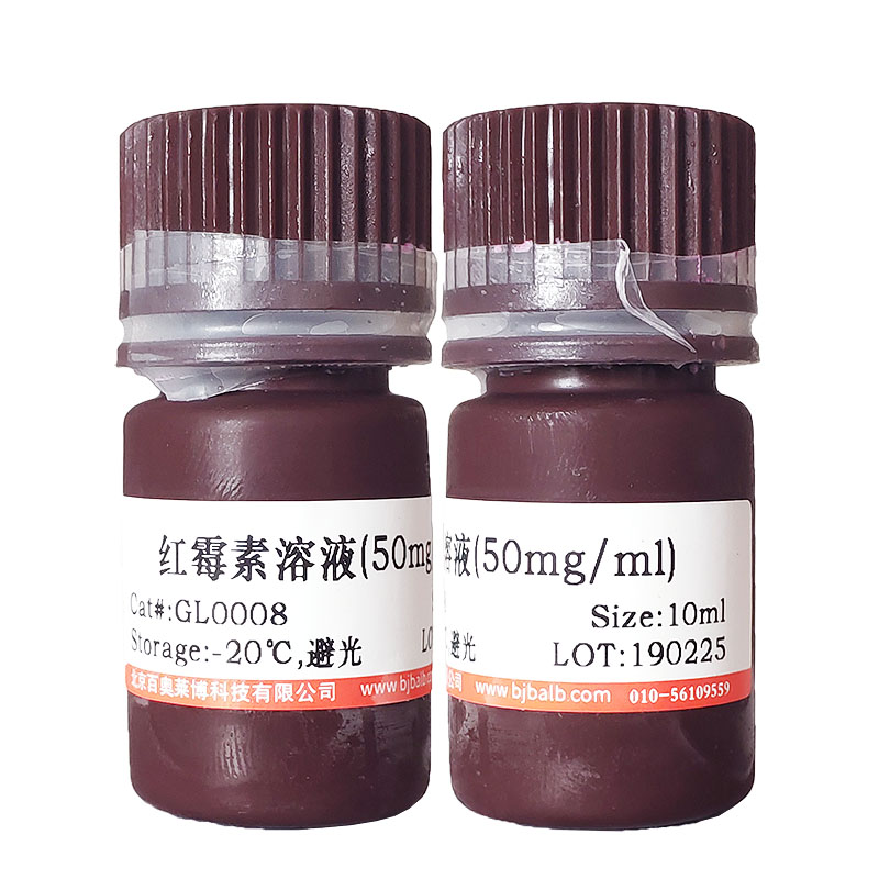 MEF3-GFP报告基因质粒现货供应