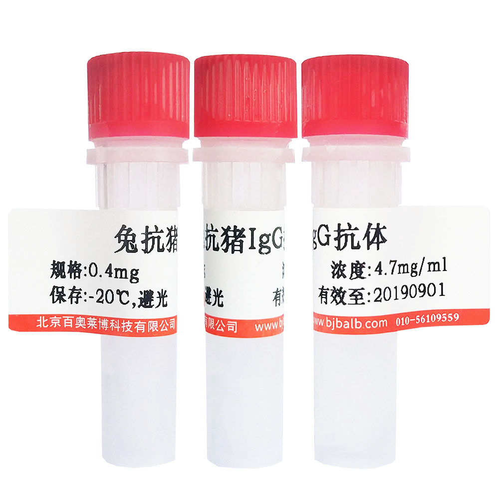 Cy3标记蛋白A北京供应商