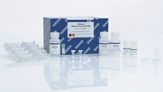 Qiagen 血液/组织基因组DNA提取试剂盒  DNeasy Blood & Tissue Kit 