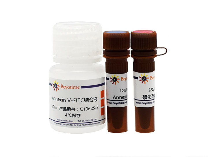 Annexin V-FITC细胞凋亡检测试剂盒