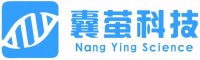 DNA快速连接试剂盒