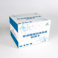 非洲猪瘟病毒抗原检测卡