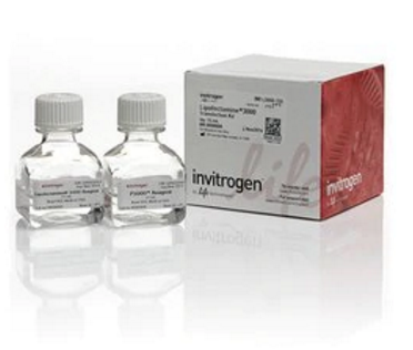 Invitrogen™ Lipofectamine™ 3000 Transfection Reagent