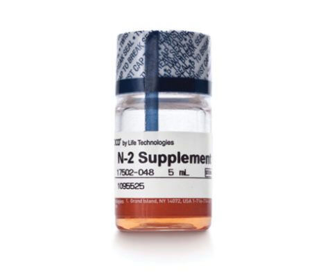 Gibco™ N-2 Supplement (100X)