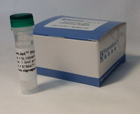 GenJet™ Plus DNA转染试剂（免费试用）