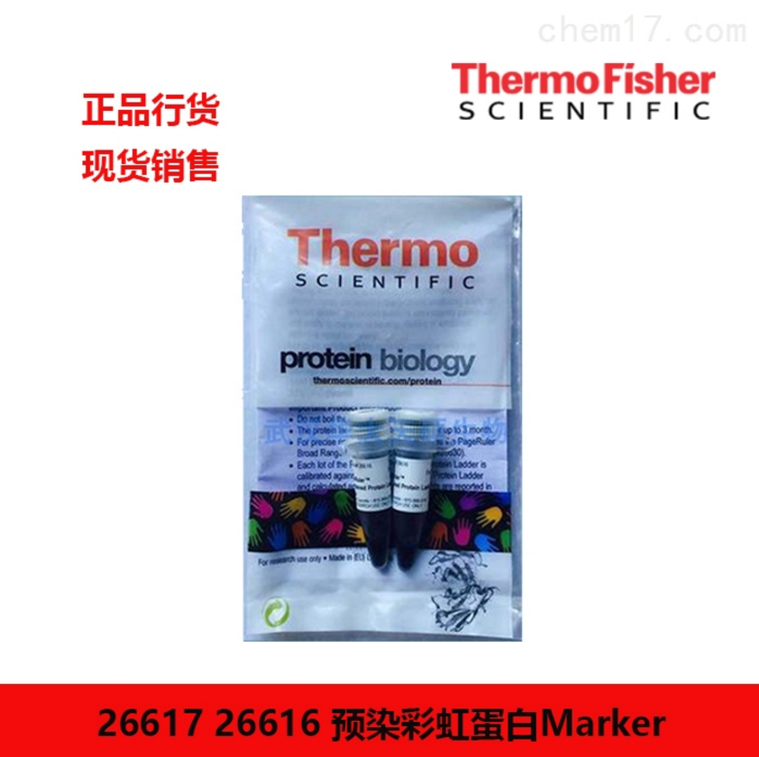 Thermo 预染蛋白Marker PageRuler™ Prestained Protein Ladder, 10 to 180 kDa