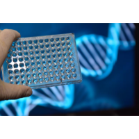 重组蛋白定制服务