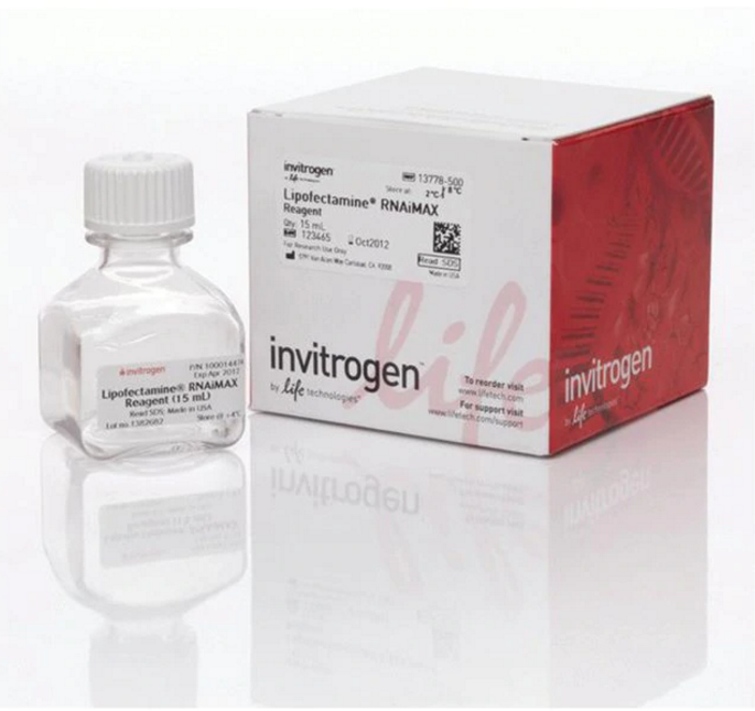 Invitrogen™ Lipofectamine™ RNAiMAX Transfection Reagent 
