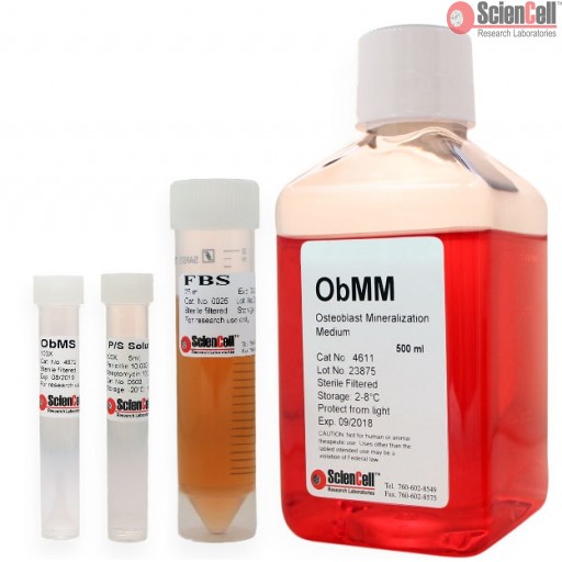 成骨细胞矿化培养基ObMM（货号4611）