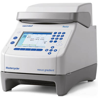 Mastercycler nexus gradient 梯度 PCR 仪