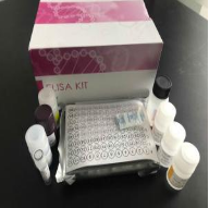 PDelisa酶联免疫试剂盒双抗体夹心法