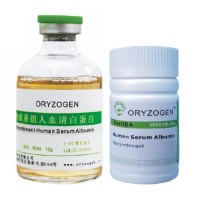体外诊断原料重组人血清白蛋白大量供应