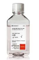 Corning MSC Xeno-Free SFM间充质干细胞无血清培养基