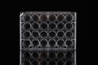 NEST 24孔玻底培养板 φ15.6mm 801006