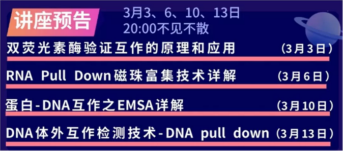 3月3号的讲座你参加了吗？