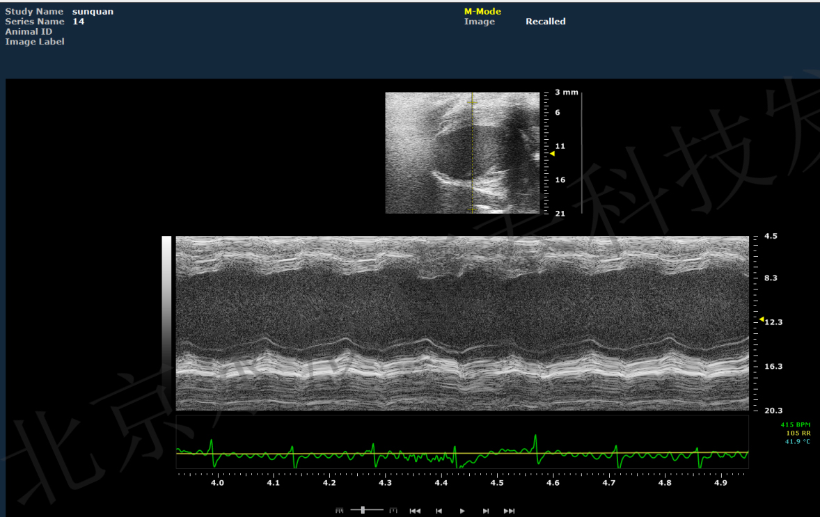 大小鼠急性心梗、心肌缺血再灌注