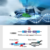 基因点突变细胞定制