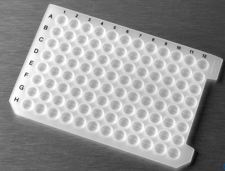 Axygen® AxyMats™ 深孔板专用96孔圆孔密封盖，非灭菌