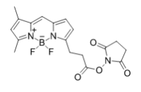BDP FL NHS ester / BDP FL NHS ester