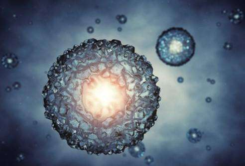 小鼠诱导型多能干细胞（iPS细胞）OSKMZ-1（干细胞库保藏）类型