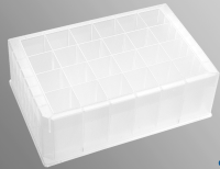 Axygen 深孔板，24孔，10ml