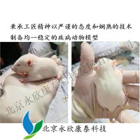 动物模型量身定制，签约有礼