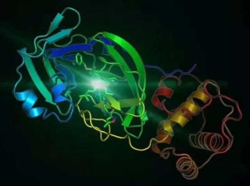 小分子药物会是COVID-19疫情的“救星”吗？
