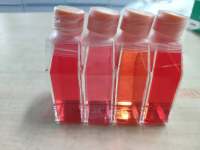 4T1+luc 小鼠乳腺癌细胞+luc/种属鉴定