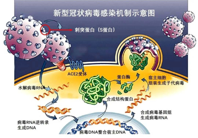 企业微信截图_15834769122245.png