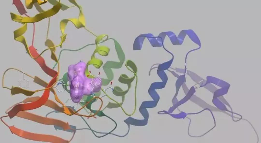 小分子药物会是COVID-19疫情的“救星”吗？