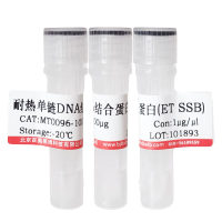 狗血管内皮细胞分离液北京厂家