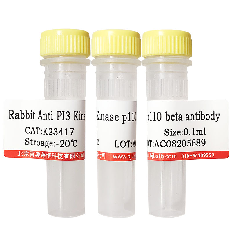 Alexa Fluor 350标记山羊抗小鼠IgG(H+L)