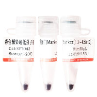 NF-κB凝胶迁移探针(1.75μM)北京品牌