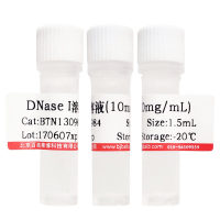 免疫染色(非荧光)二抗稀释液北京价格