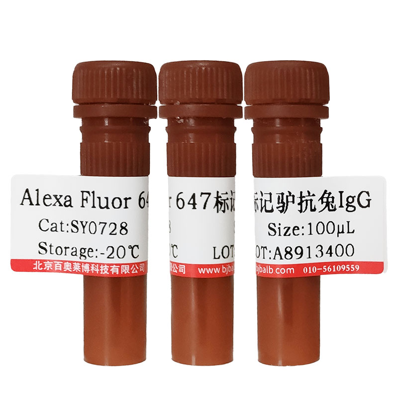 ATP1A1抗体北京供应商