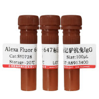 ATP1A1抗体北京供应商