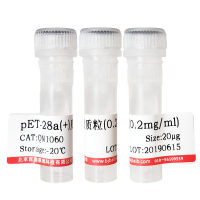 单细胞裂解液(DNA提取)价格