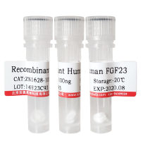 重组人Eotaxin-3/CCL26北京供应商