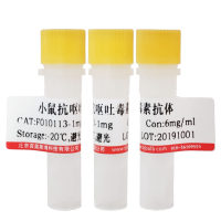 生物素标记小鼠抗乙肝e抗原抗体(生物素化一抗)